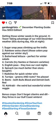 an image of someone's twitter post about their favorite gardening product, the carrot planter planting guide