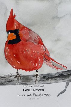 a watercolor painting of a cardinal sitting on a branch with a bible verse below it