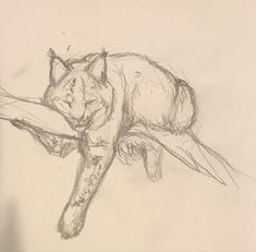 a pencil drawing of a cat laying down on a tree branch with it's eyes closed