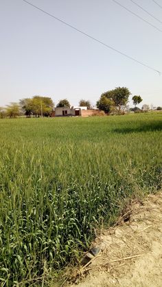 an open field with power lines in the distance