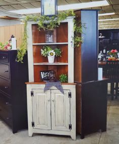 an assortment of furniture is displayed in a showroom with plants on the top shelf