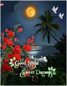 good night sweet dreams with red roses and birds flying over the ocean at night time