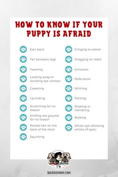 how to know if your puppy is afraid info poster with dog's paw prints