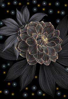 an abstract flower on a black background