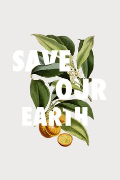 some oranges and leaves with the words save your earth above them on a white background