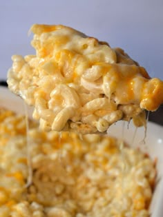 a spoon full of macaroni and cheese being lifted from a casserole dish