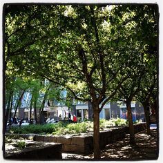 a park with benches and trees in the shade