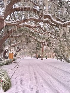 a snowy street with trees and cars on it