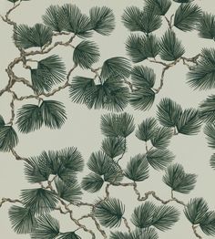 Pine Wallpaper by Sandberg in 78 | Jane Clayton Pine Tree Wallpaper, Pine Wallpaper, Jane Clayton, Sandberg Wallpaper, The Pines, Pine Branch, The Wall, Art Ideas, Zen