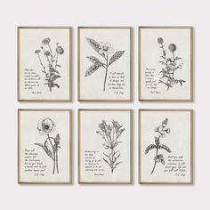 four framed botanical prints with flowers on them