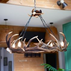 a chandelier with antlers hanging from it