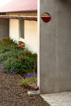 the corner of a building with flowers growing in it