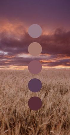 an image of a field with circles in the sky