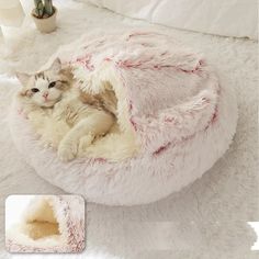 a cat laying in a pet bed on top of a white rug next to a potted plant