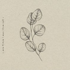 a black and white drawing of some leaves