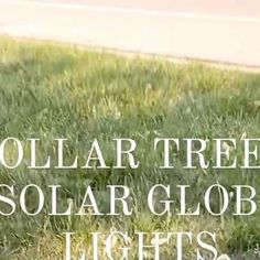 there is a sign that says dollar tree solar globe lights on the grass next to a fire hydrant