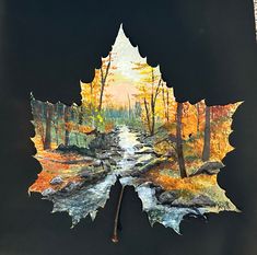 a leaf that has been cut out to look like it is floating in the water