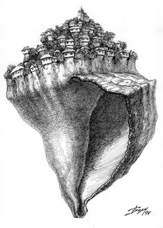 an ink drawing of a sea shell with buildings on it's top and bottom