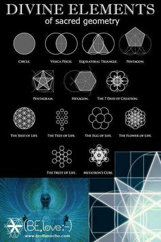 Element to a larger tat? Spirit Molecule, Egg Of Life, Scared Geometry, Symbols And Their Meanings, 7 Days Of Creation, Geometry Symbols, Life Study, Sacred Geometry Symbols, Days Of Creation