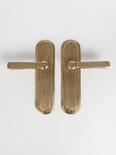 pair of brass door handles on white background