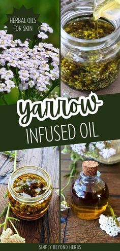 Explore the nurturing qualities of Yarrow Infused Oil, featured in our Herbal Oils for Skin collection. This oil, rich in yarrow's healing properties, is perfect for soothing and restoring skin, aiding in wound healing and acne treatment. A natural solution for skin and hair care, it's an herbal skincare essential. Find more DIY Beauty, Homemade Beauty Products, and Homemade Skin Care at simplybeyondherbs.com. Herb Infused Oils, Yarrow Oil, Yarrow Essential Oil, Herbal Oils, Herbal Skincare, Types Of Herbs, Adolescent Health, Infused Oil, Health And Wellness Quotes