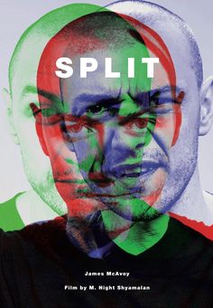 the cover of splitt by james mclayn and michael schryman