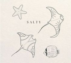 an image of some sea animals and starfishs on white paper with the words salty written in black ink