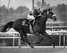 a man riding on the back of a brown horse down a race track with trees in the background