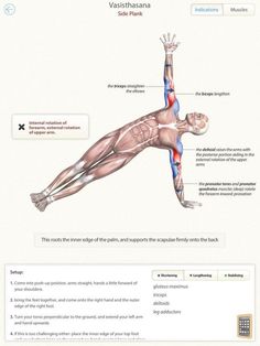 an image of the anatomy of a person doing yoga exercises on their computer monitor screen