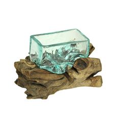 a glass vase sitting on top of a piece of driftwood