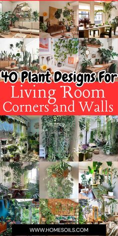 living room with lots of plants in it and the words 10 plant designs for living room corners and walls