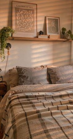 a bed sitting under a window next to a wooden shelf filled with potted plants