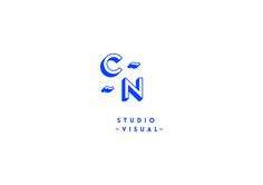 the logo for studio visual, which is designed to look like it has an image of a