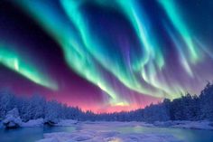 the aurora bore is glowing brightly in the sky above snow covered trees and frozen water