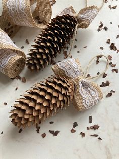 two pine cones are tied to twine