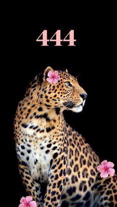 a leopard with pink flowers on it's head and the number four in front of it