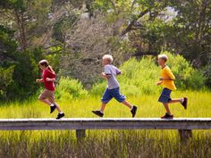 three children running across a wooden bridge in the middle of a grassy area with tall grass and trees behind them