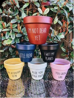 six colorful flower pots sitting on top of a table next to some plants and bushes