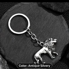 a lion keychain sitting on top of a black rock with the word color antique silver