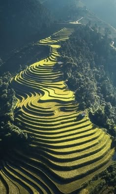 an aerial view of terraced rice fields in the mountains near sapa, vietnam