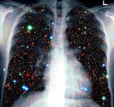 an image of the lungs with stars all over it's body and back side