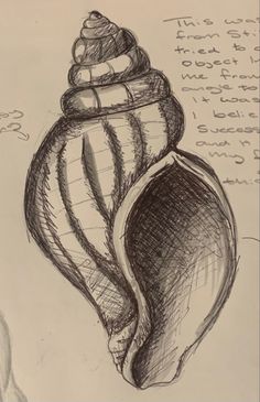 a drawing of a sea shell with writing on the side and an image of a seashell