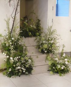 some white flowers are growing on the steps