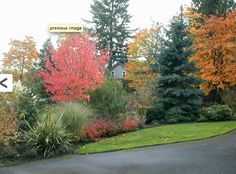 a street sign on the side of a road near some trees and bushes with red leaves