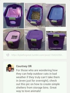 the instructions for how to make a purple cat litter box with food inside and out