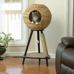 a cat is sitting in a scratching tower