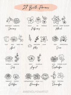 the flowers and their names are drawn in black ink