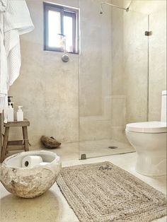 a bathroom with a toilet, shower and rug