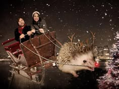 two people riding in a sleigh pulled by an hedgehog on snow covered ground