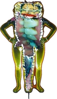 an image of a human body made out of different colored parts on a white background